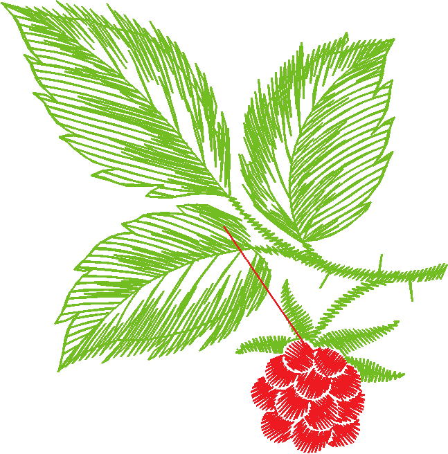 Leaves & Berries 1 (1)