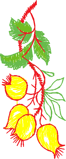 Leaves & Berries 1 (10)