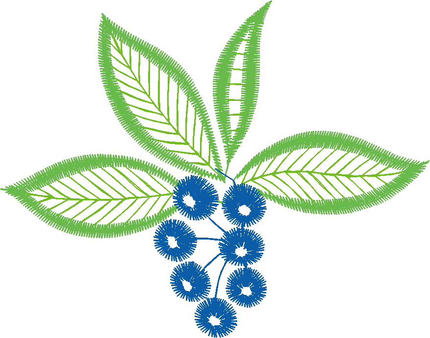 Leaves & Berries 1 (21)