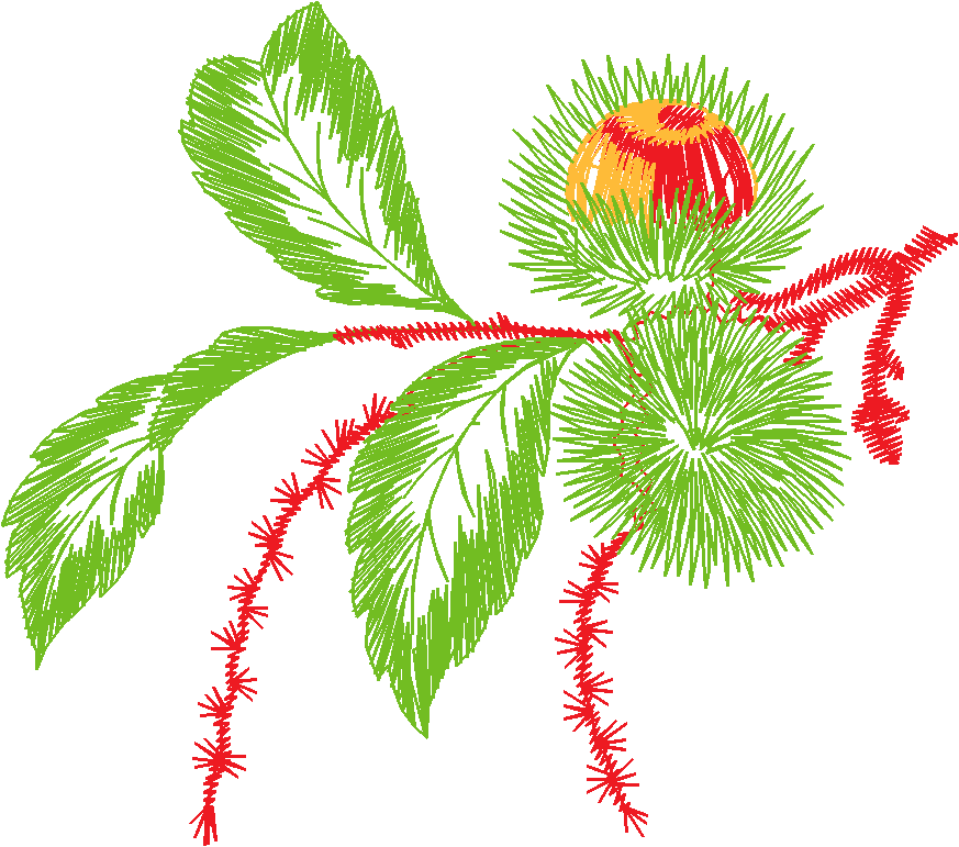 Leaves & Berries 1 (6)