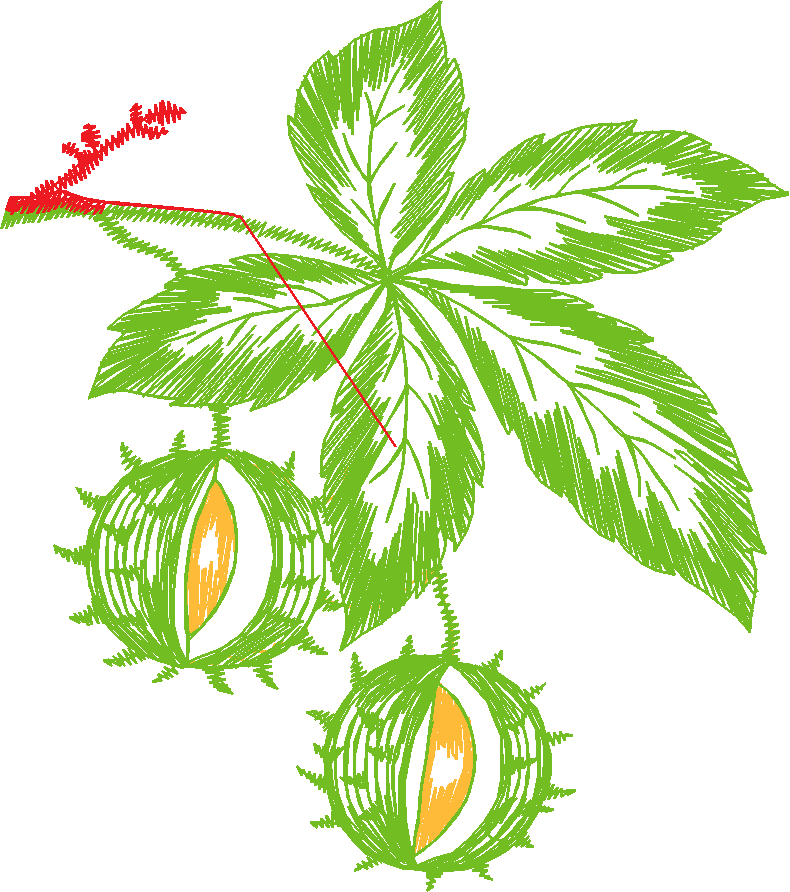 Leaves & Berries 1 (9)