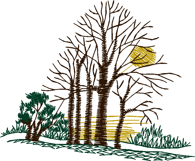 Leaves & Trees 1 (5)