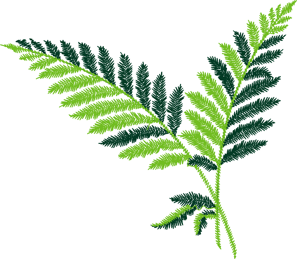 Leaves & Trees 1 (7)