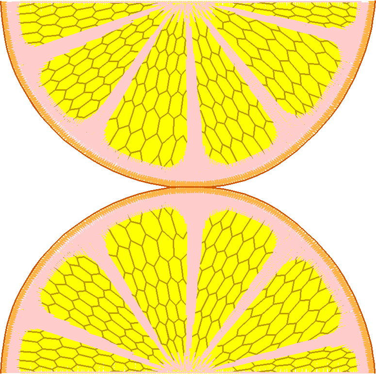 Lemons 1  (19)