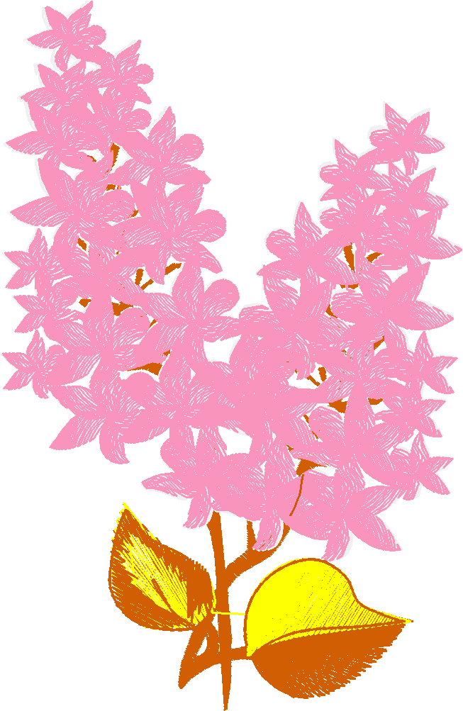 Lilac & Floral 1  (21)