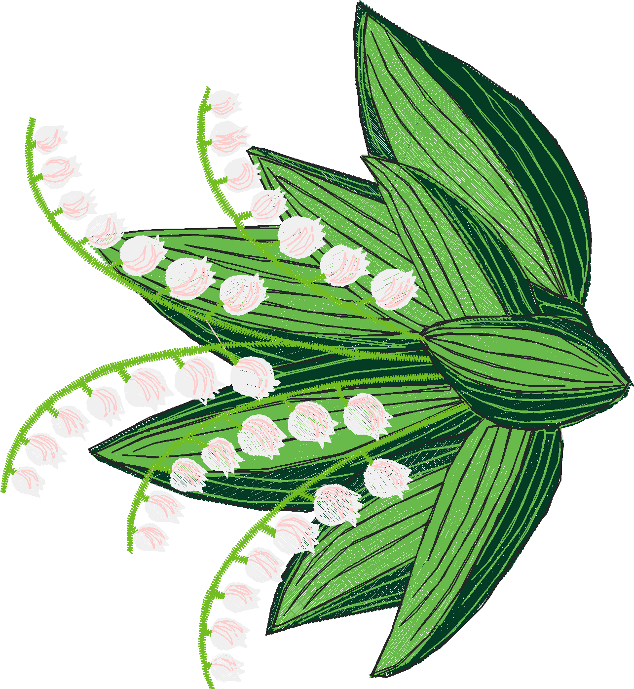 Lily Of The Valley 1 (1)