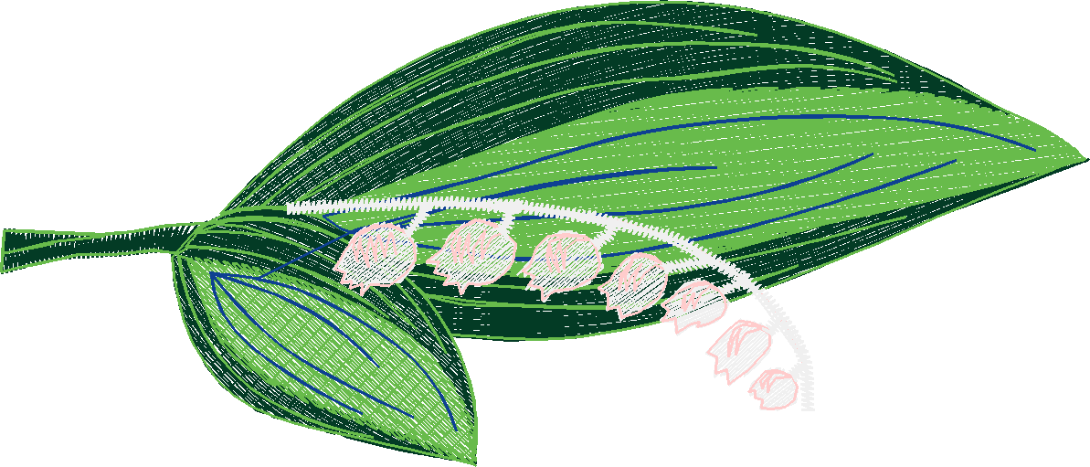 Lily Of The Valley 1 (5)