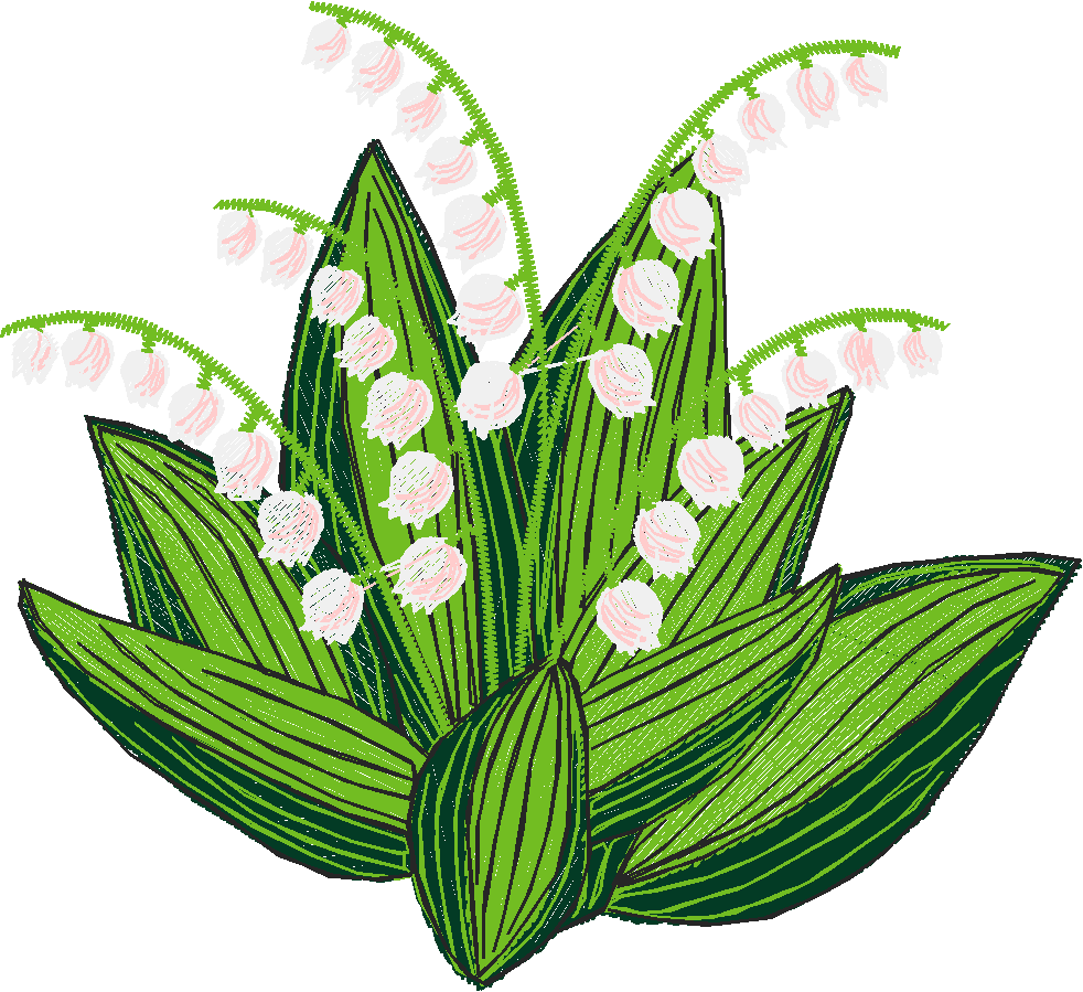 Lily Of The Valley 1 (6)