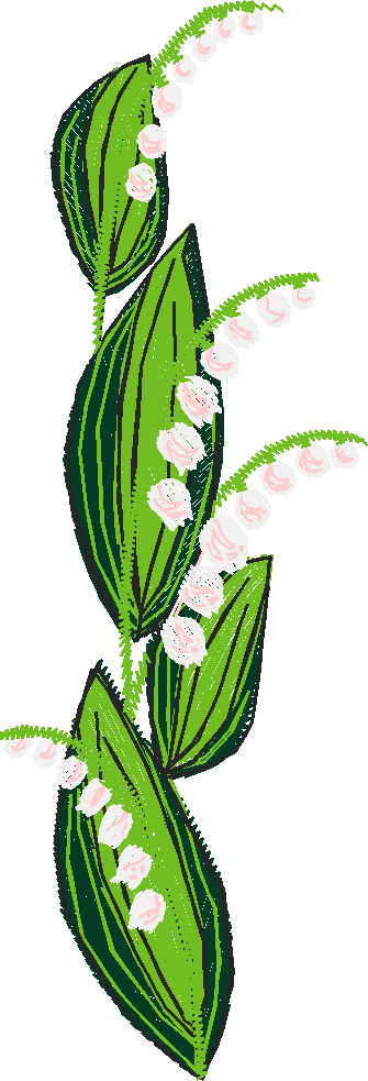 Lily Of The Valley 1 (8)