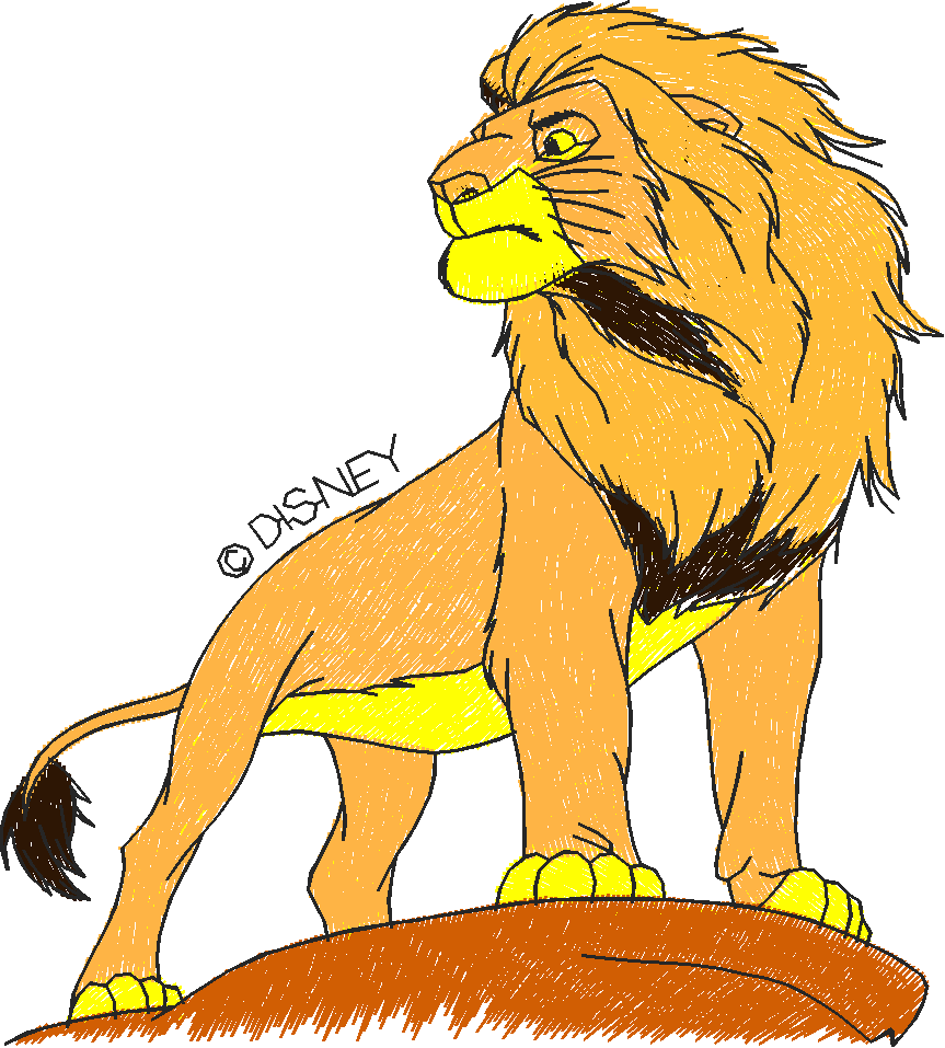 Lion King 1 - Disney  (29)