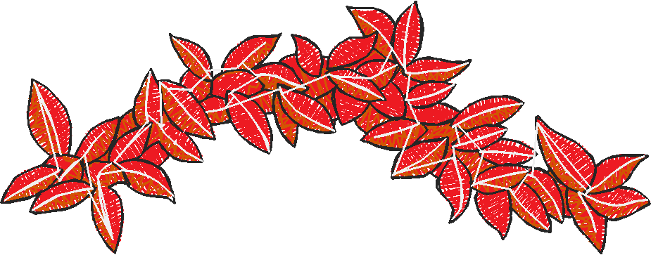 Over 50 & Looking Nifty 1  (6)