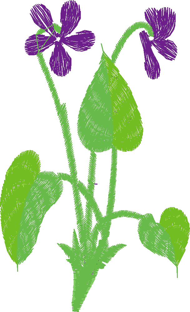 Pansies & Violets 2  (3)