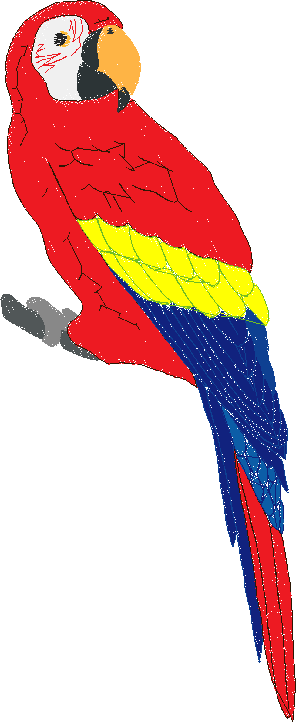 Parrots 1  (10)