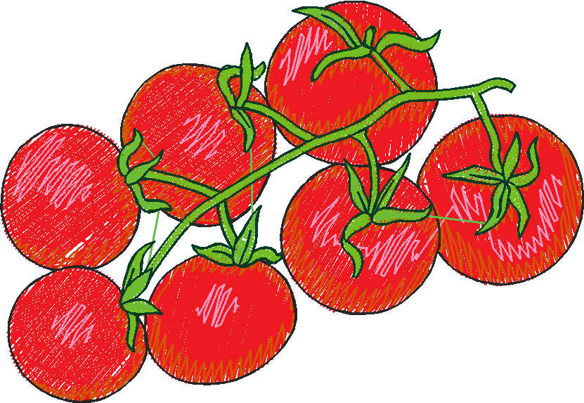 Pasta, Pasta, Pasta 1  (13)