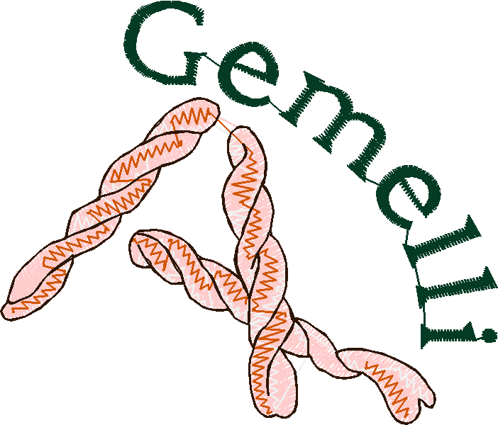 Pasta, Pasta, Pasta 1  (15)