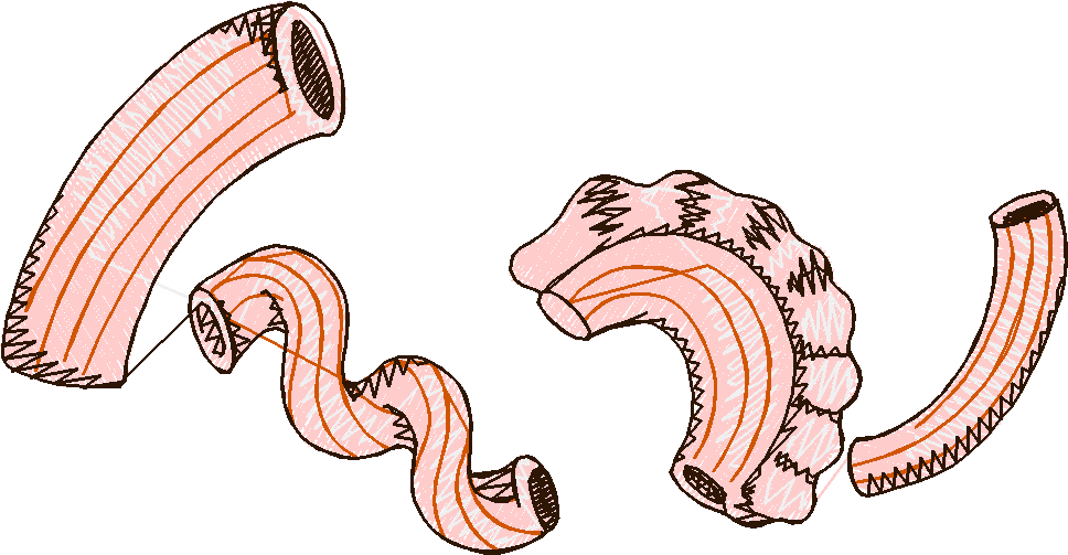 Pasta, Pasta, Pasta 1  (5)