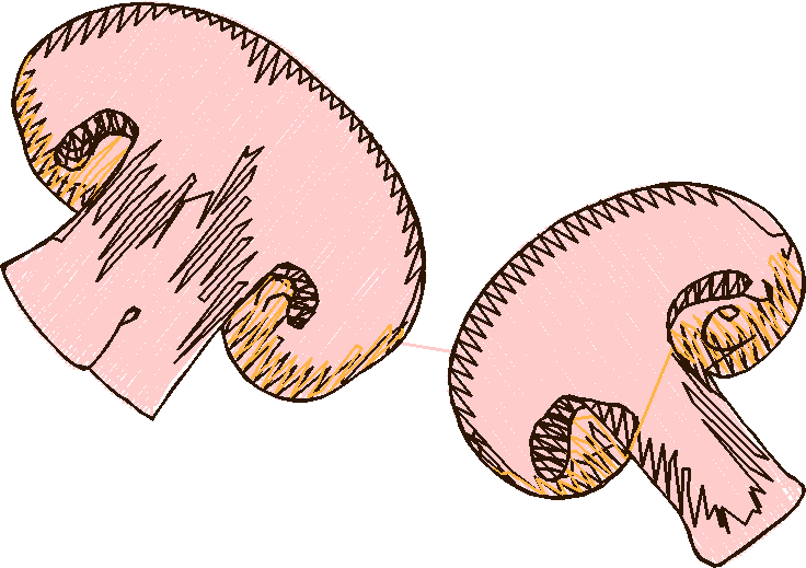 Pasta, Pasta, Pasta 1  (7)