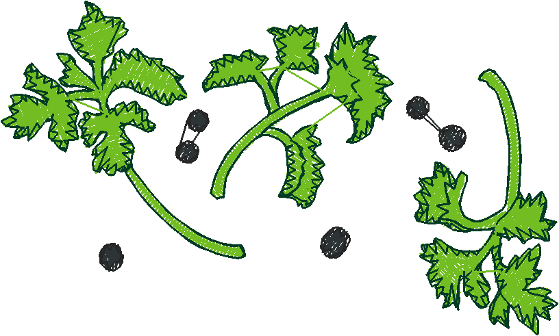 Pasta, Pasta, Pasta 1  (8)