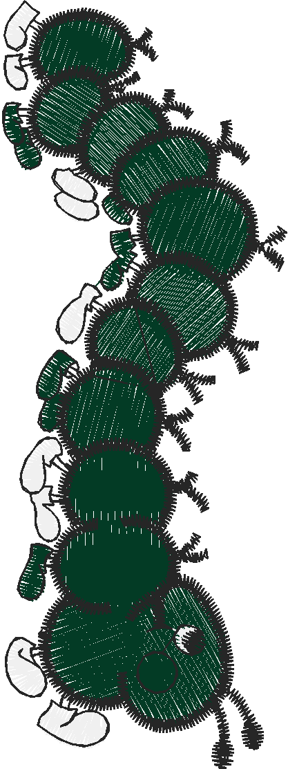 Pattern Combinations 1  (13)