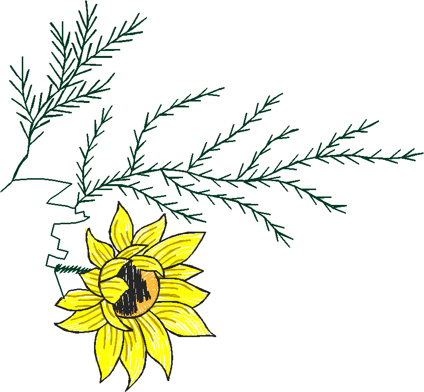 Pattern Combinations 1  (19)