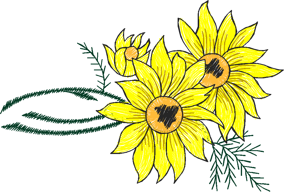 Pattern Combinations 1  (20)