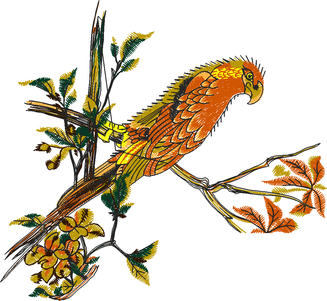 Pattern Combinations 1  (21)