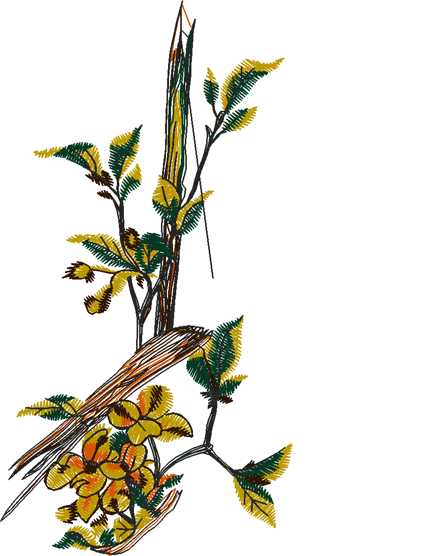 Pattern Combinations 1  (24)