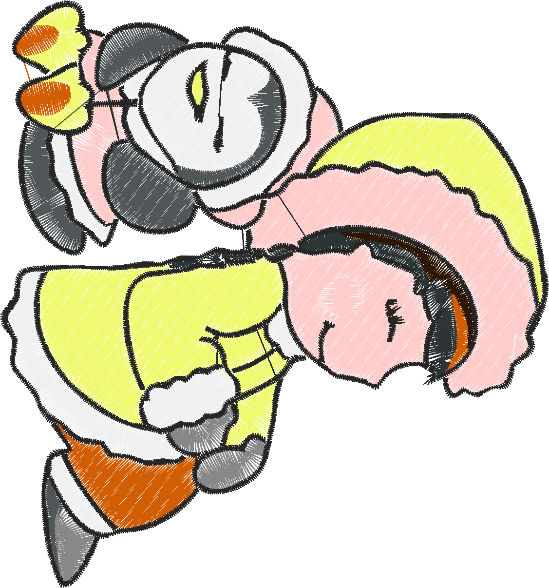 Penguins And Eskimos 1  (4)