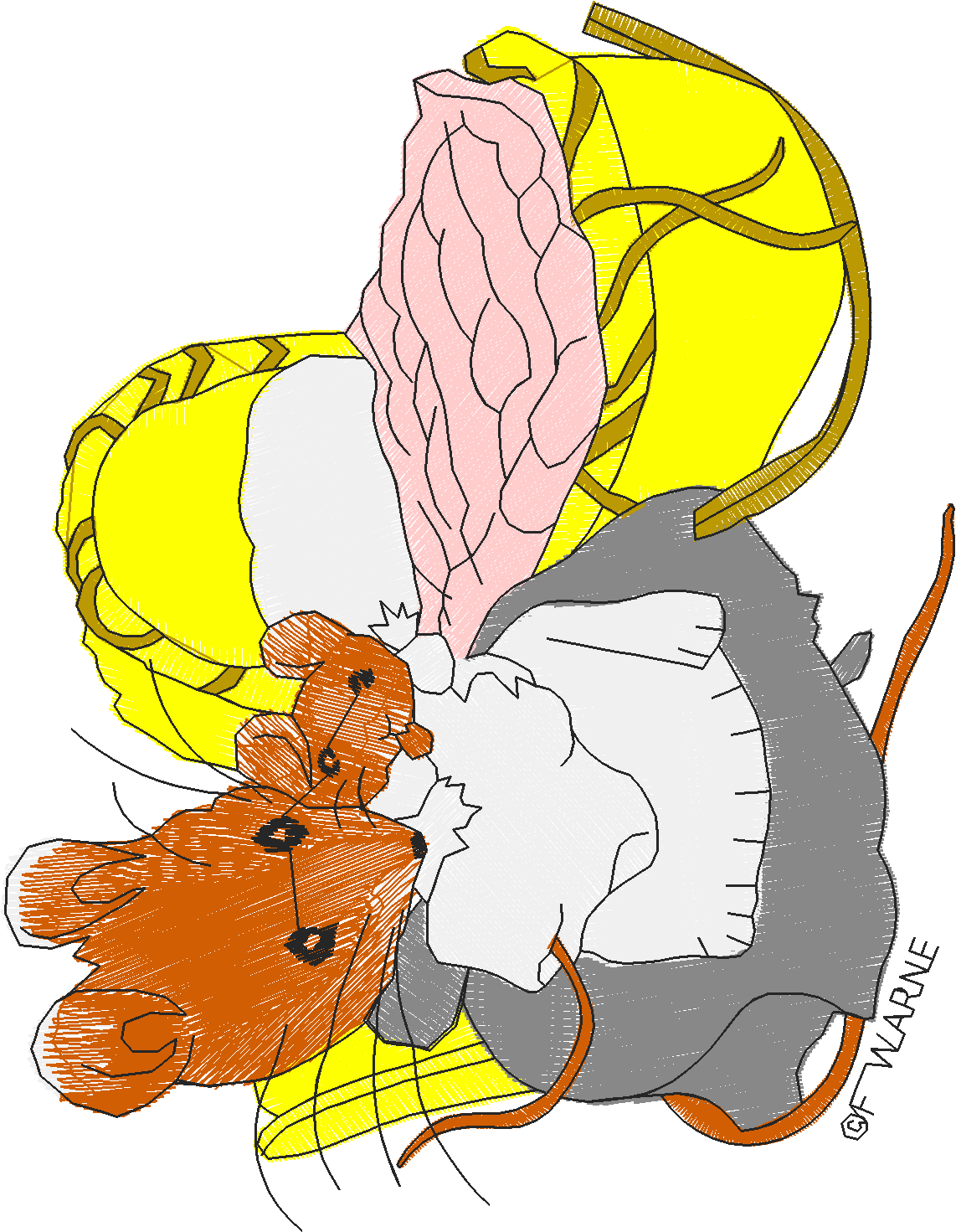 Peter Rabbit 1  (14) - Small