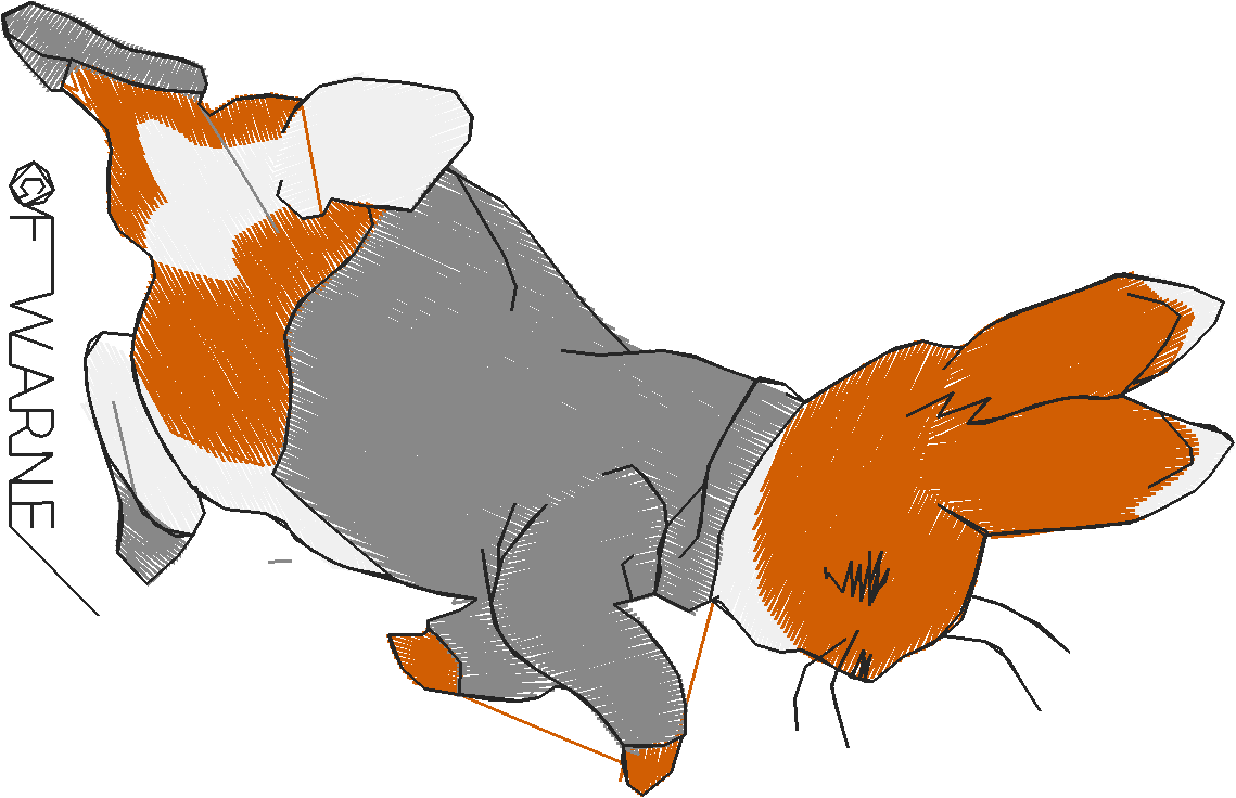 Peter Rabbit 1  (2) - Small