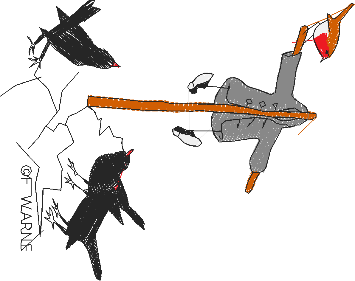 Peter Rabbit 1  (29) - Small