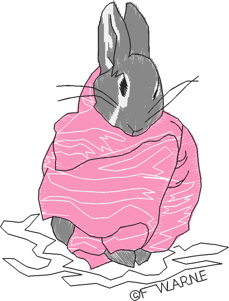 Peter Rabbit 1  (5) - Small