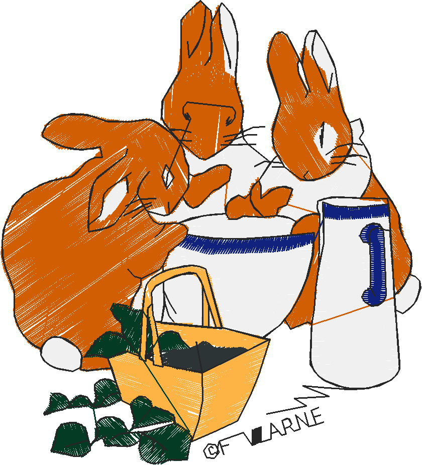 Peter Rabbit 2 (12) - Medium