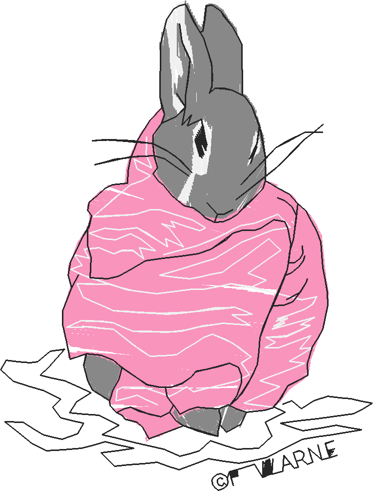 Peter Rabbit 2 (5) - Medium