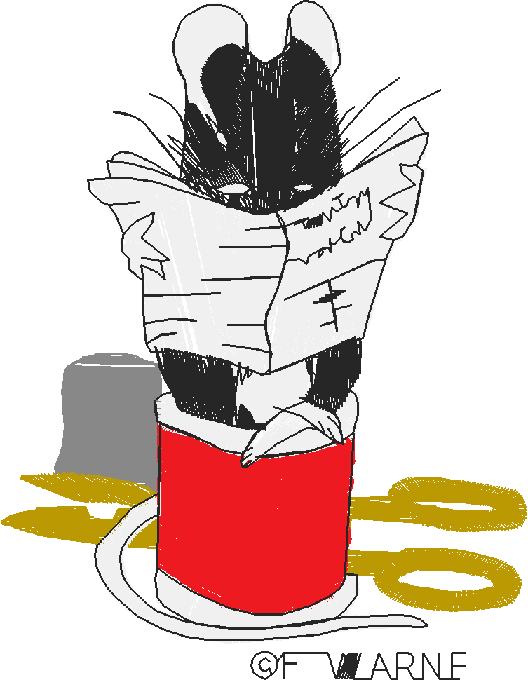 Peter Rabbit 2 (7) - Medium