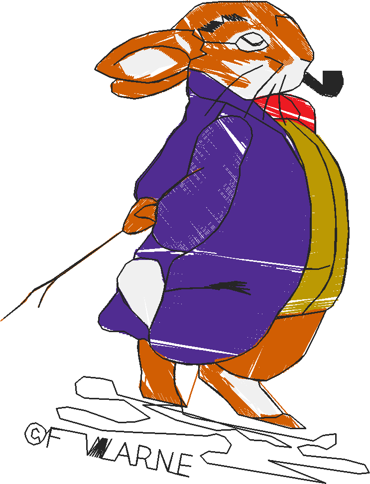 Peter Rabbit 2 (8) - Medium