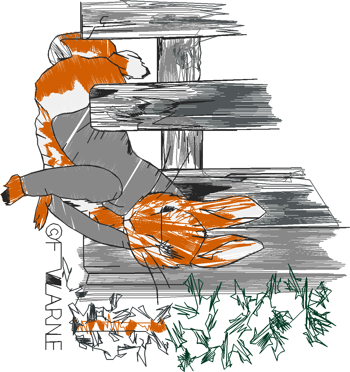 Peter Rabbit 3 (10) - Large