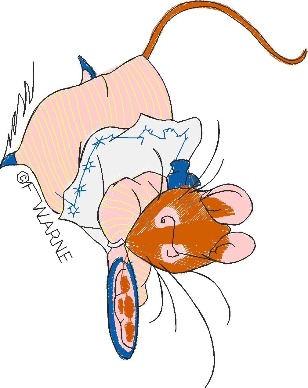 Peter Rabbit 3 (20) - Large