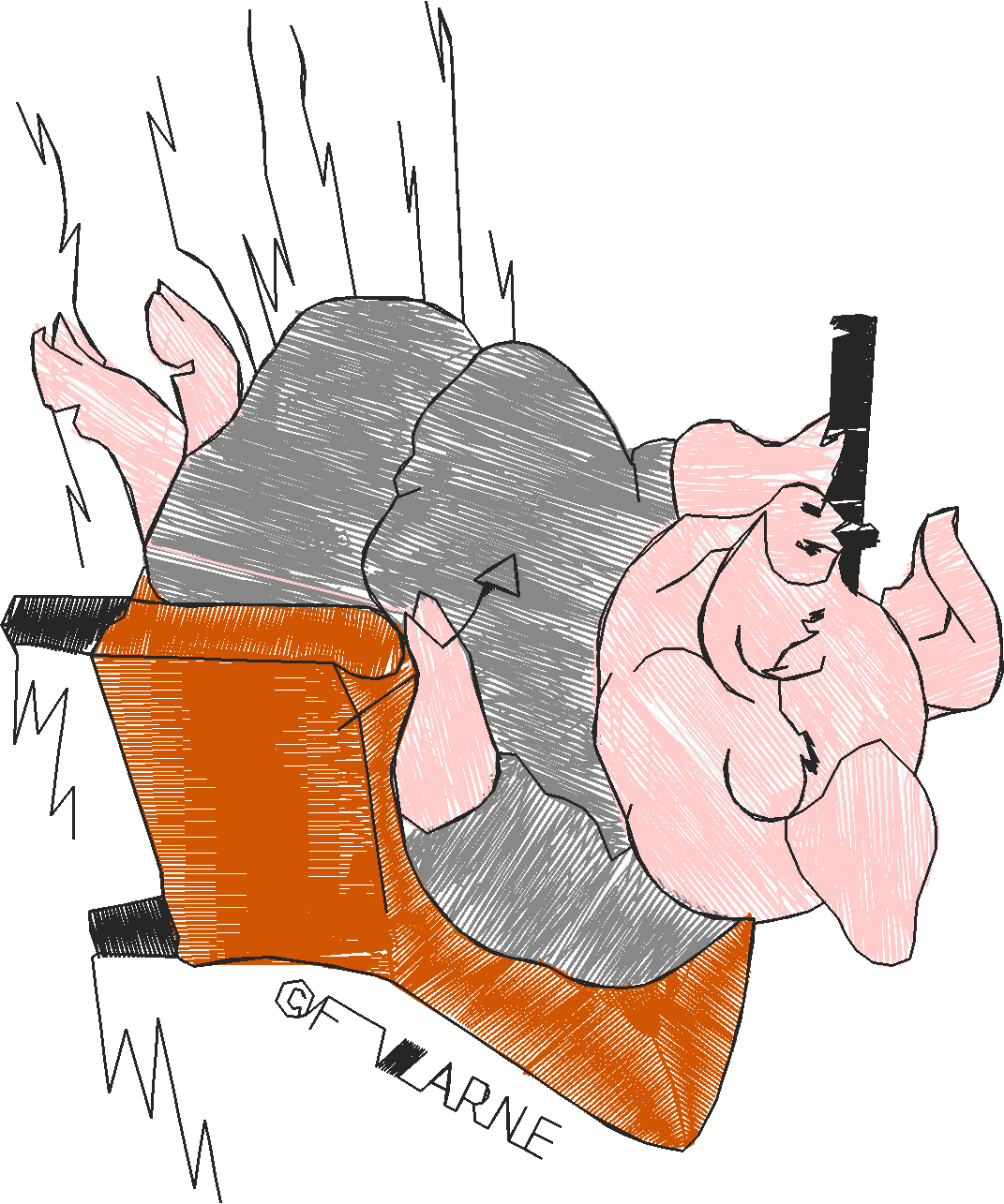 Peter Rabbit 3 (26) - Large