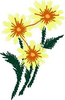 Petite Designs 1 (17)