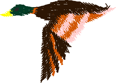 Petite Designs 1 (3)