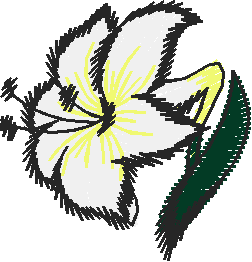 Petite Designs 1 (65)