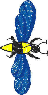 Petite Holiday 1  (25)