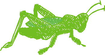 Petite Holiday 1  (26)