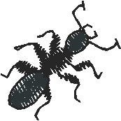 Petite Holiday 1  (28)