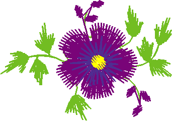 Petite Petals 1  (30)