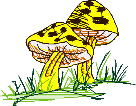 Pixies & Fairies 1  (15)