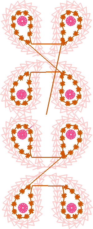 Placket & Collar 1 (1)