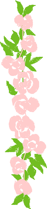 Placket & Collar 1 (6)