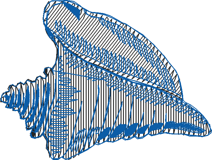 Placket & Collar 2 (2)